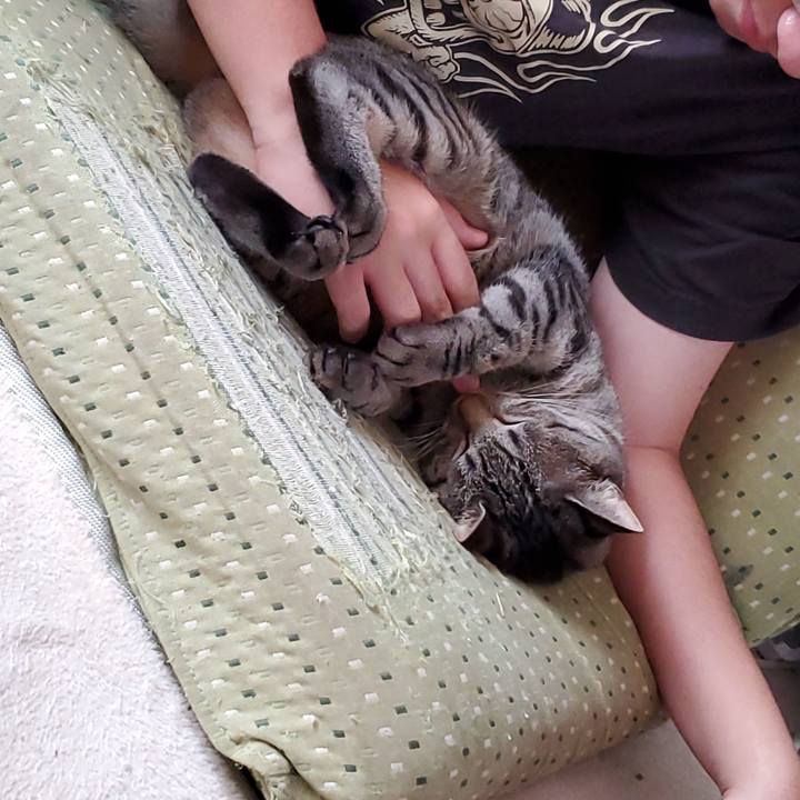 49f20962 bad1 4711 98d9 db0d28254f31 1702469630116