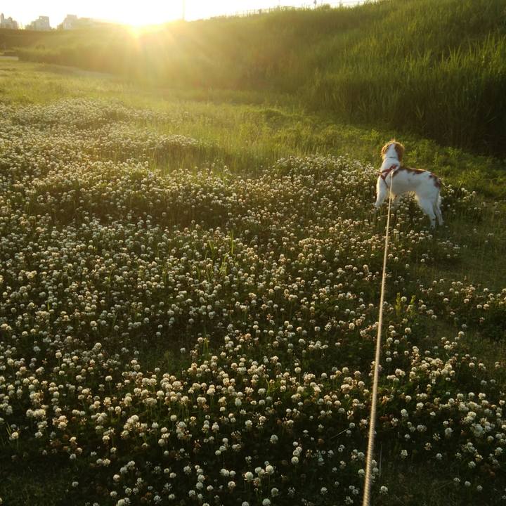 49f210d3 fe26 4dea abe1 23eb7e484b1f 1525954095814