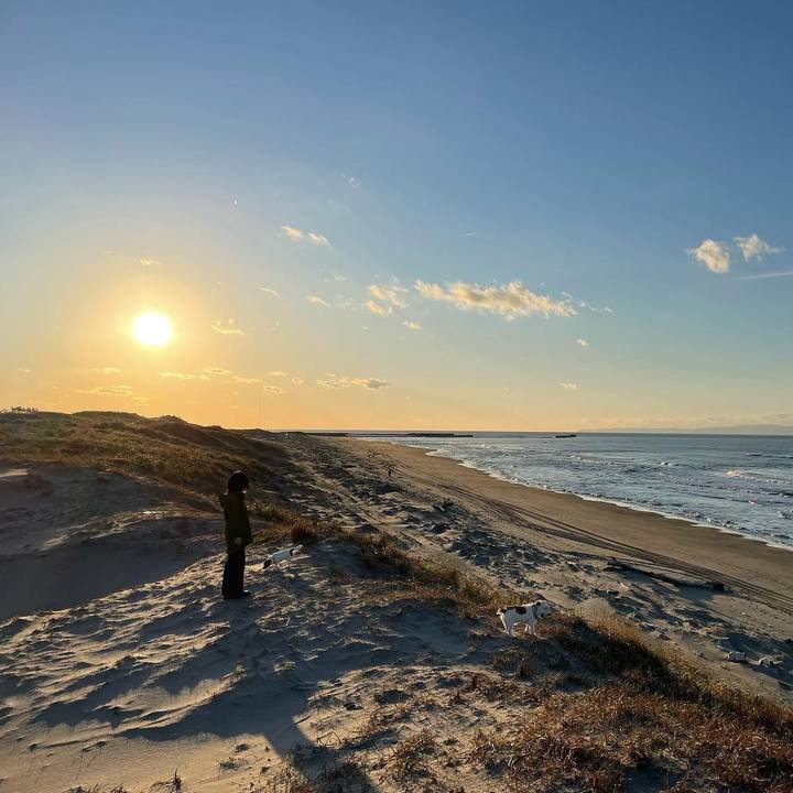 49f23dcb 70ba 4511 a575 87f9230b270d 1638176382853