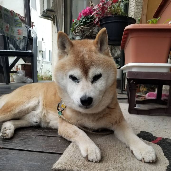 49f24d21 99e5 4589 9b76 de370cef6800 1745363237784