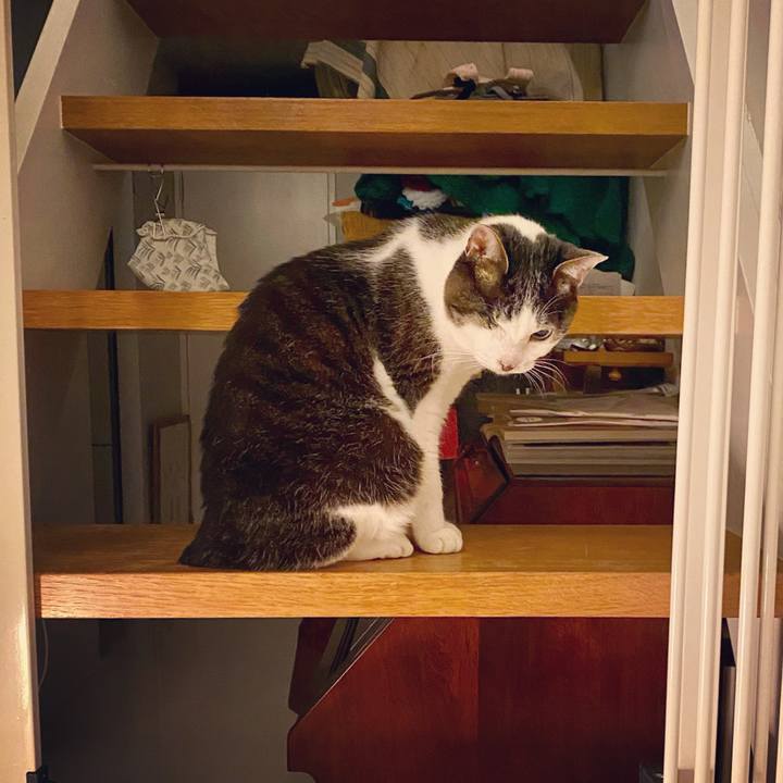 49f26396 39d4 4412 9828 dde7d634d993 1615031670004