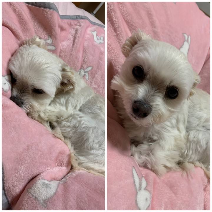 49f2640b 2d2b 4311 8f1c 2cc0ea400f94 1607253469108