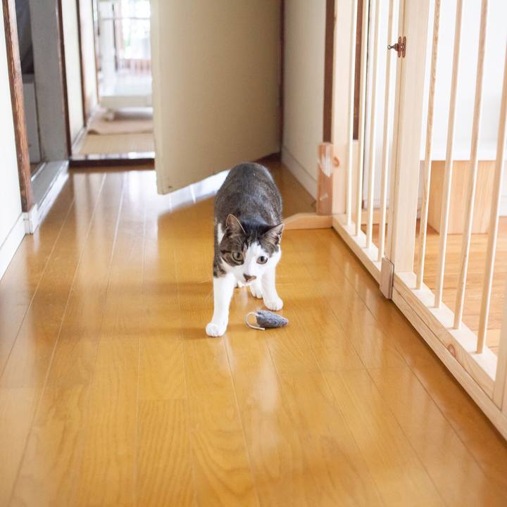 49f28cac 3818 4a73 a84b b20c5afc21a1 1557888651154