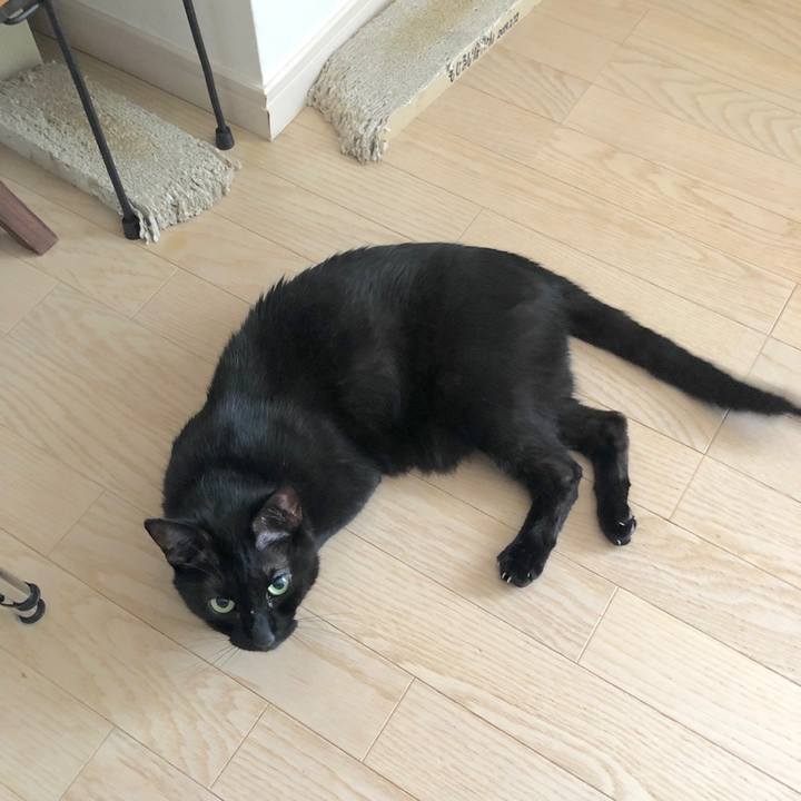 49f28d14 f403 4cae a10c 6b869b82ea43 1559698896659