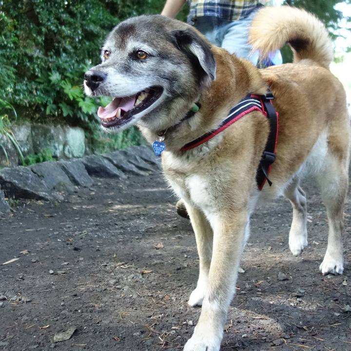 49f28eab 3cca 414e 87e5 507c6aa16e30 1528509555684