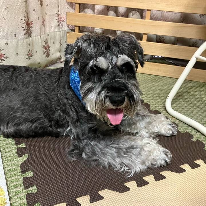 49f2a890 f957 49d3 849c 39af1077f314 1722033327991