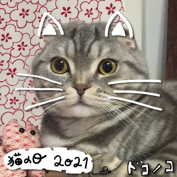 49f2a9b3 25c3 48a4 90e2 580c17a9c21c 1613967746600