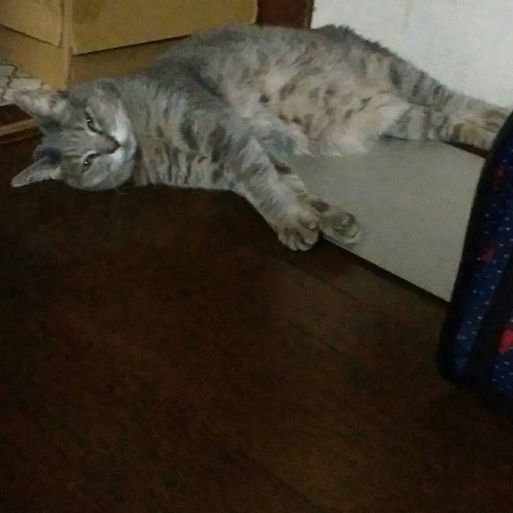 49f2aeb1 ed74 4e48 9e0f b43a61f1314c 1566897885227