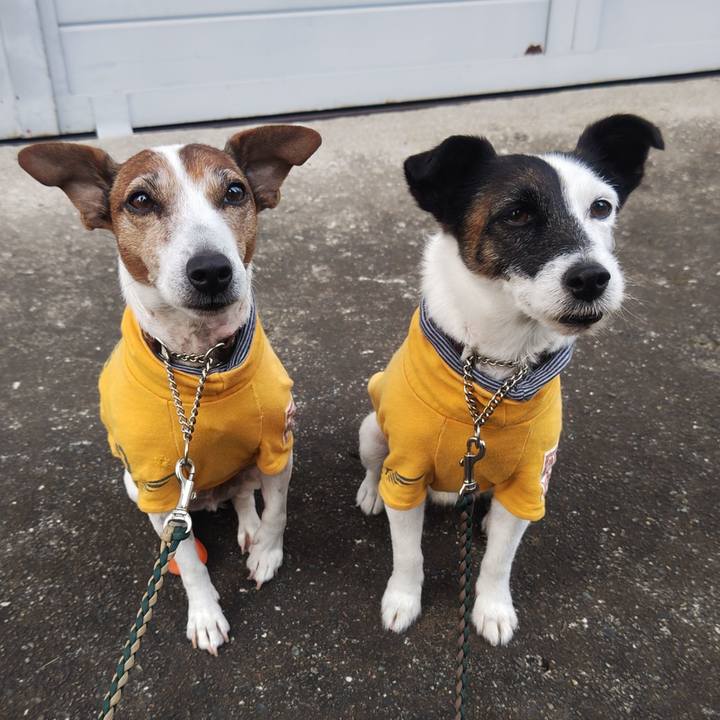 49f2e16f 5fb7 4f63 bf74 d01ecb649aab 1763417654674