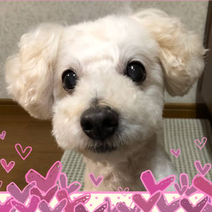 49f30659 1084 469b a195 3c1f7c559b9e 1531271468102