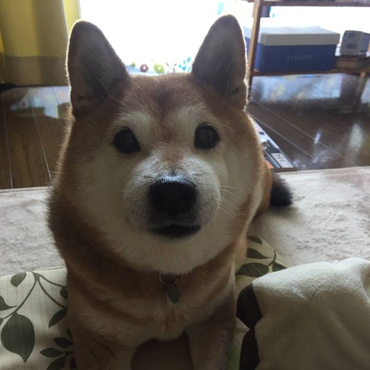 49f39875 d9f2 47c9 90f8 97c15313aa53 1518399872032