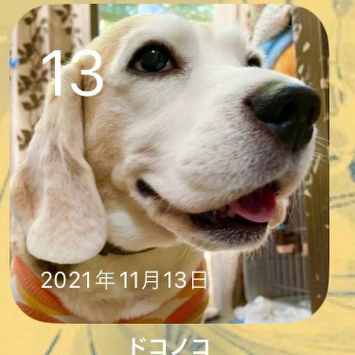 49f3aa55 9d89 44ec afdf a900dce26c7e 1699834466605