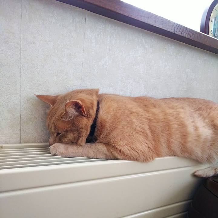 49f3c790 de3c 4bd4 84b8 6d3f7750a6f1 1640388646045