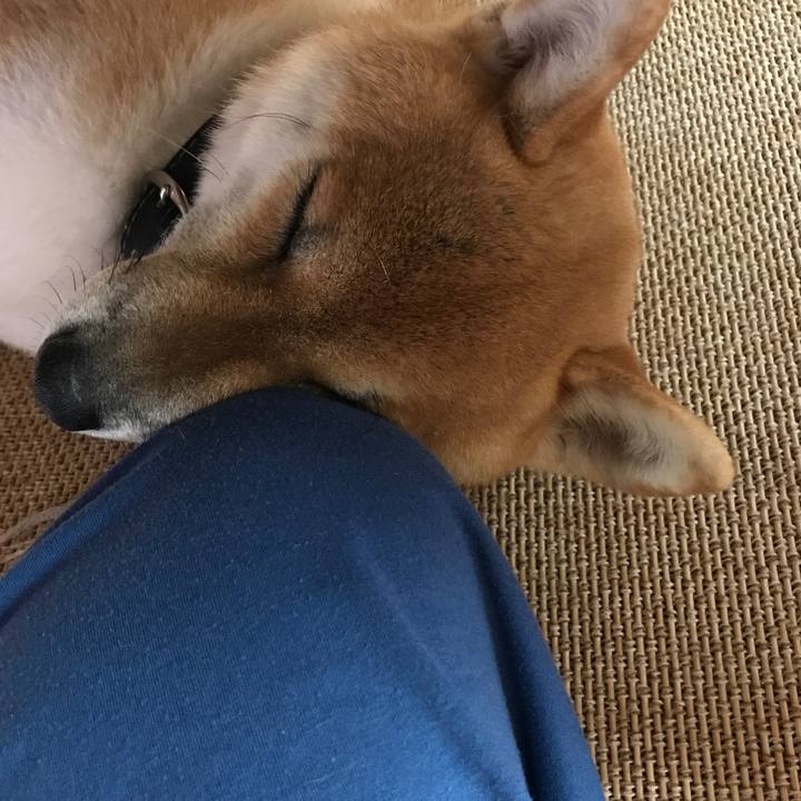 49f3c899 c355 4e56 8dd4 ae9f859e82fe 1535164627408