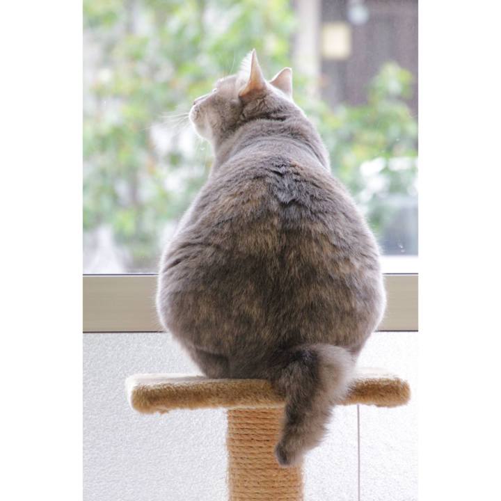 49f4060b d36a 4abd a6e3 1b345ebec20f 1618552720315