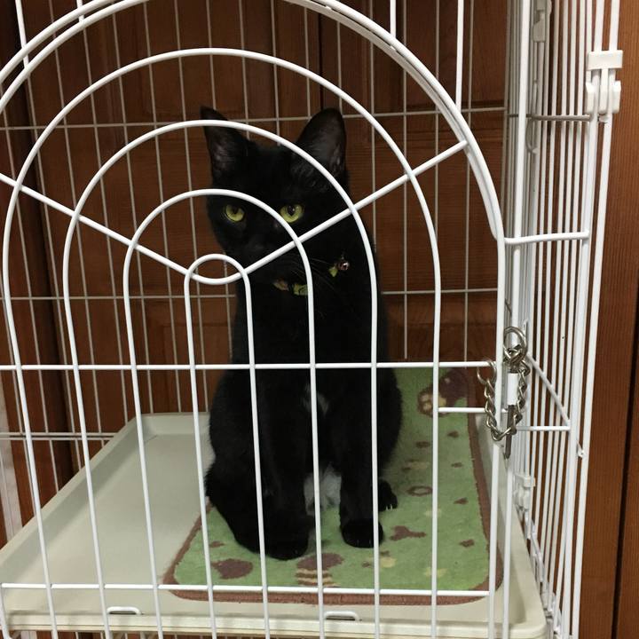 49f41684 a9e7 48ee 8ef5 1ab96cdc79bd 1530532141907