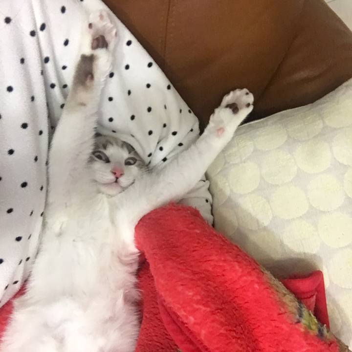 49f49a81 2cc1 4e78 806f 3d4afe401be2 1511190185511