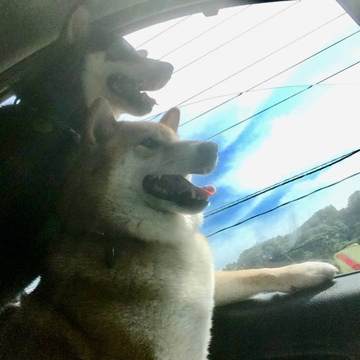 49f4b12d 4e32 4a9c b017 29775f4c336c 1565913806229