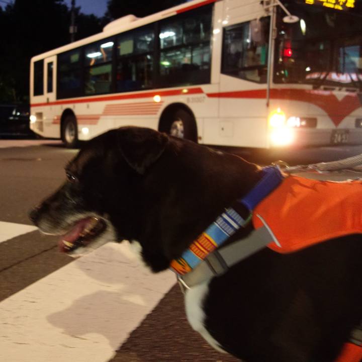 49f4f083 1c71 461d 83f1 ae6f935fd51c 1748171046479