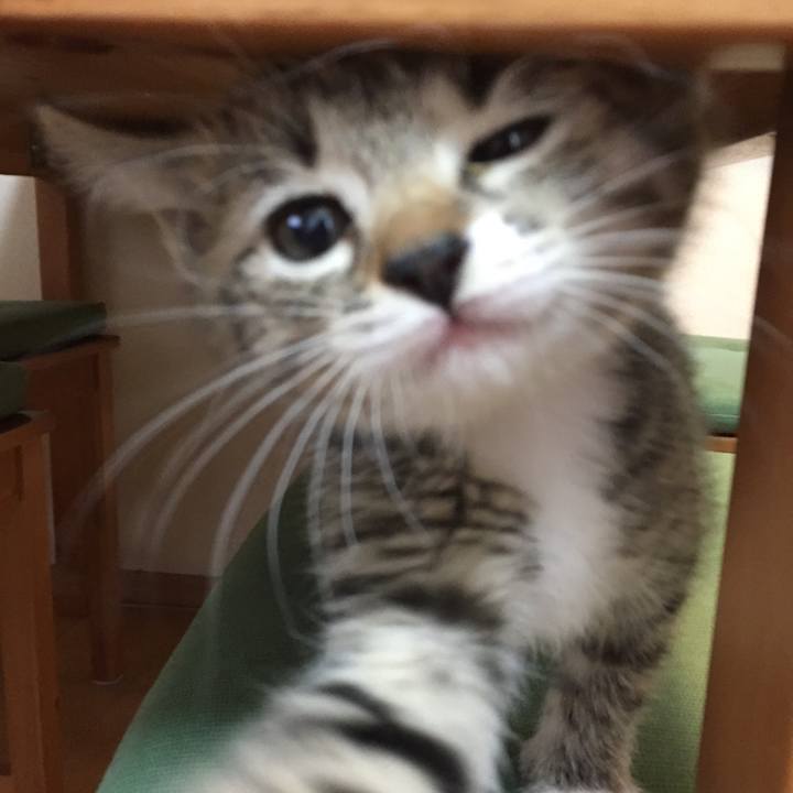 49f52450 d028 41b9 a3ac ac90d455b7b4 1550629726120