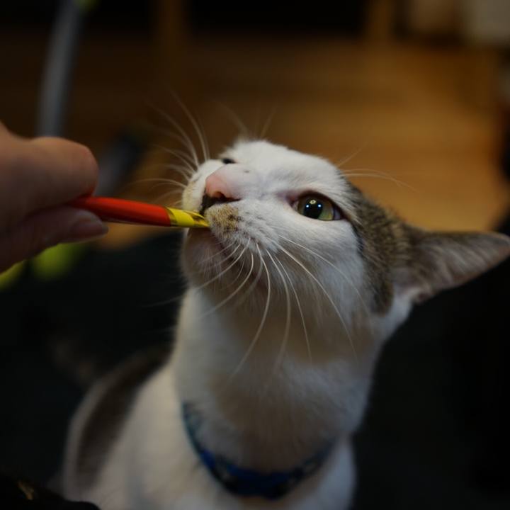 49f53543 c39e 4dab a96e 599327130070 1511790469061