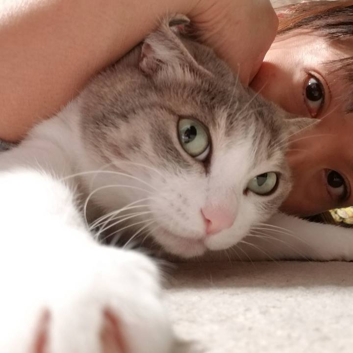 49f53aba e6dc 453a 85c6 6468ba58d6b6 1643633607898