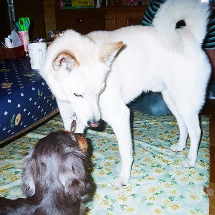 49f54545 693d 4740 9a55 e605384b3ccb 1510220022586