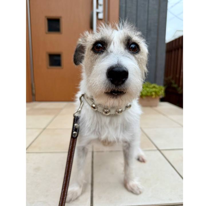 49f553f0 2429 45b0 b588 b6f2d21a0344 1763065213190