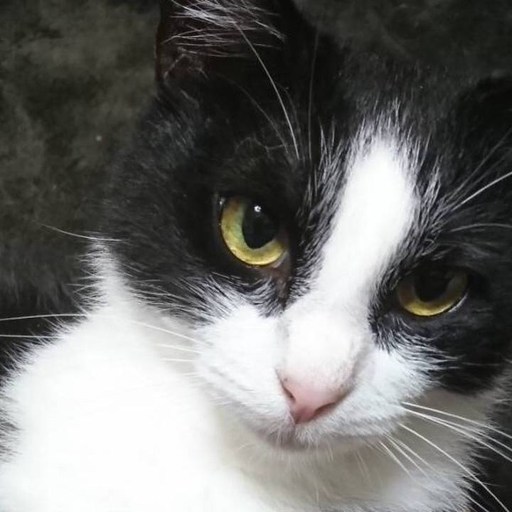 49f56058 4162 4041 b59e 81dc08424ced 1560352240262