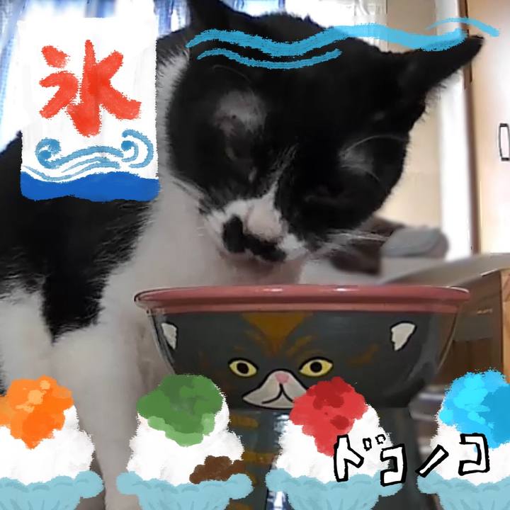 49f56542 80d6 4234 9d3e 9ba6d7ebda78 1723332834282