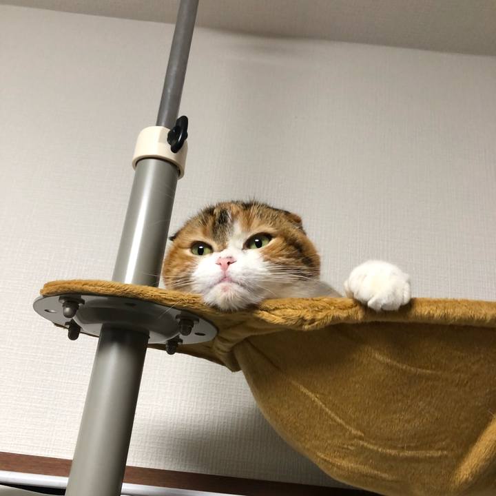 49f566e4 74d3 43ea a95f 1afae400d2e4 1580460916131