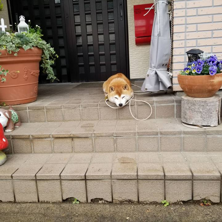 49f56be3 323c 4cde a9d9 533419921c16 1636498375323