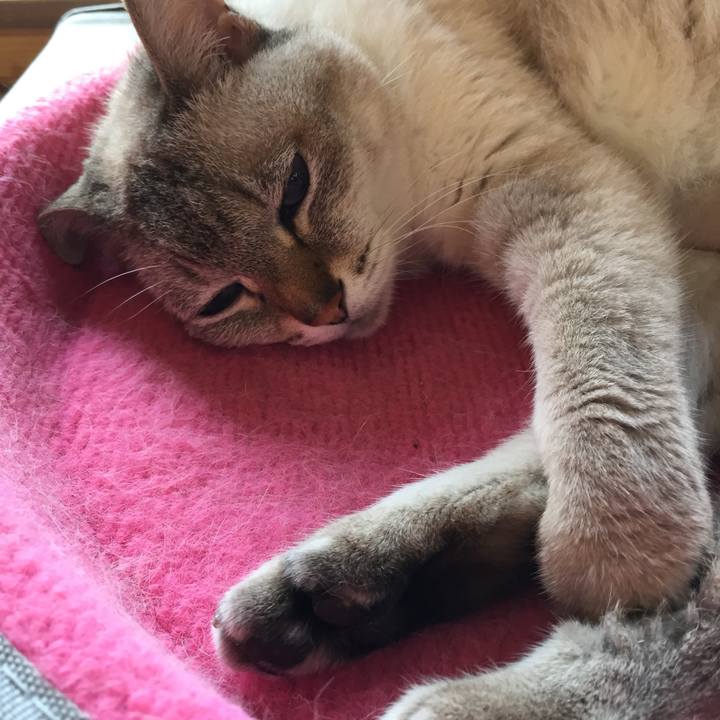 49f579d5 f020 43d2 b6e5 52d85cfde3fd 1530583907811