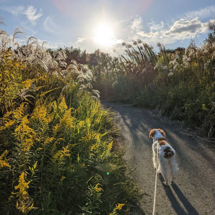 49f5b47e 3640 408c be28 0f25ec1c90c3 1667043472704