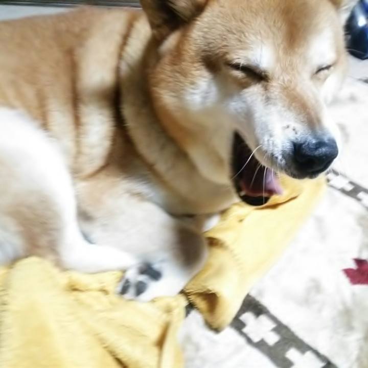 49f5ca9e 6f23 430c 9ae7 1a8c0d98e4e5 1510413517327