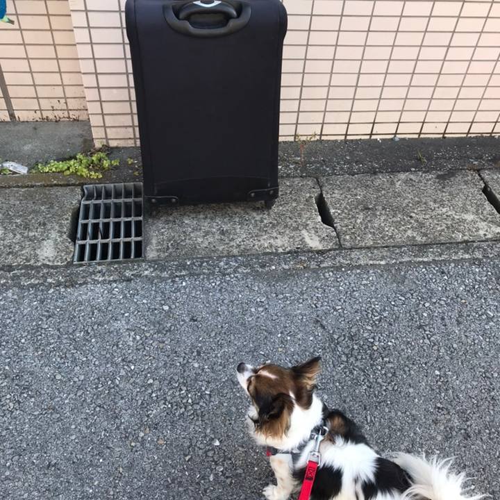 49f5e86b 6096 40cf a238 bce1b756605d 1558737854370