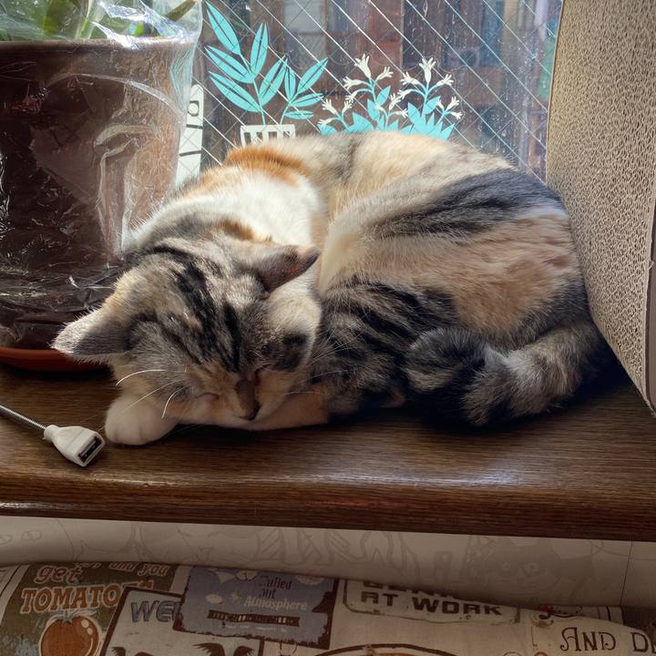 49f6644d 29ed 4a7f 8a31 606959be73c4 1645073640627