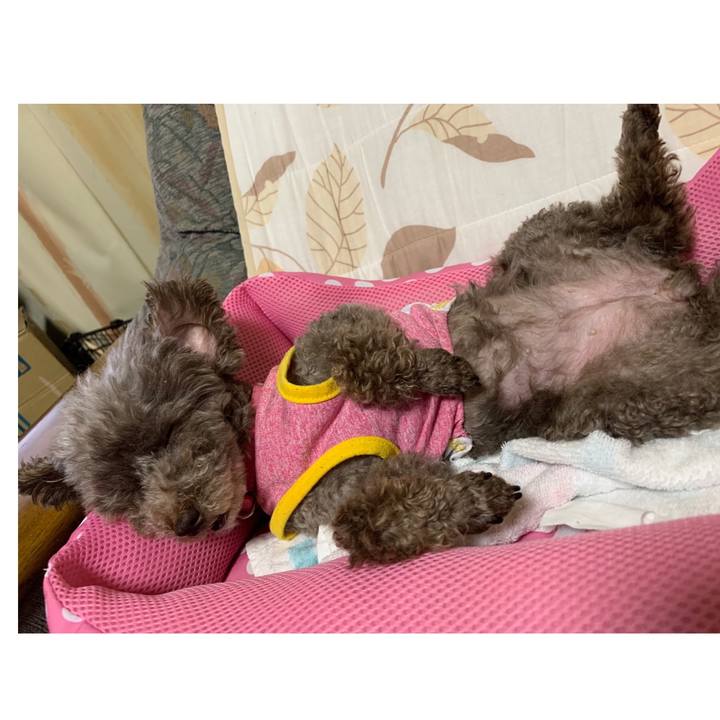 49f67625 29ff 4a56 a11d a0c60754456e 1621515871378