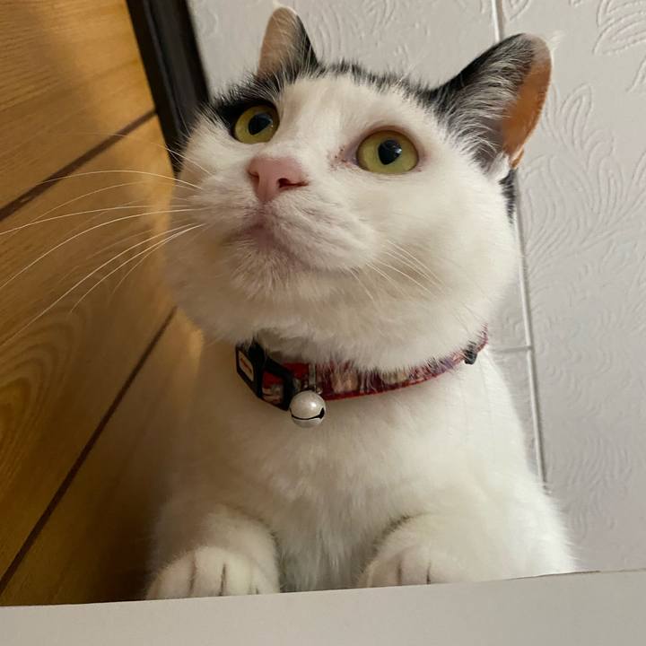 49f681a7 a241 4f01 aba4 f748eb7e8192 1649847100696