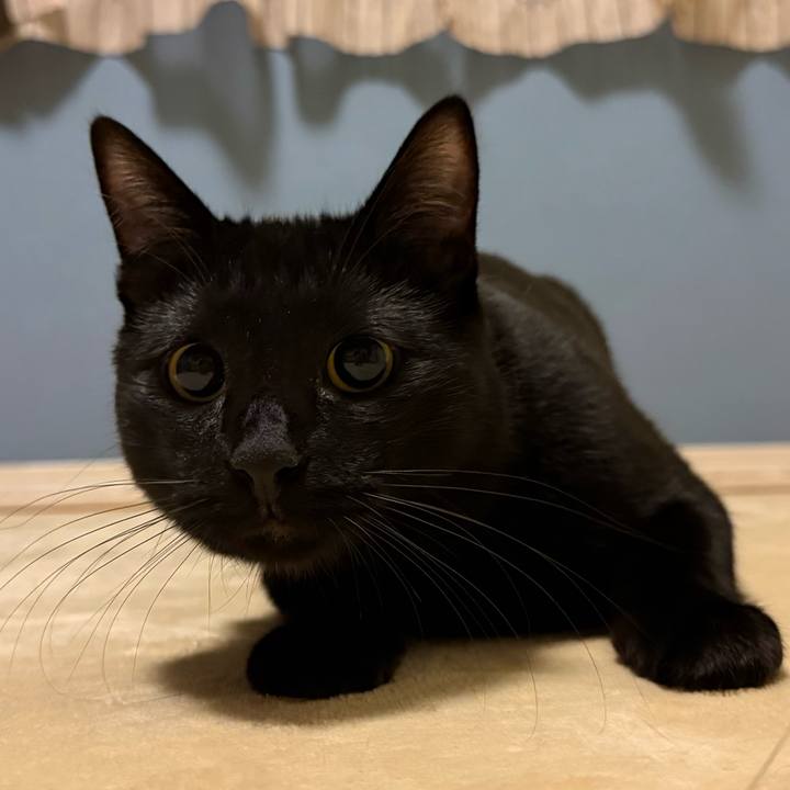 49f6a9a4 d7ad 441a b3f8 cb4c09ab0dfe 1775382441444