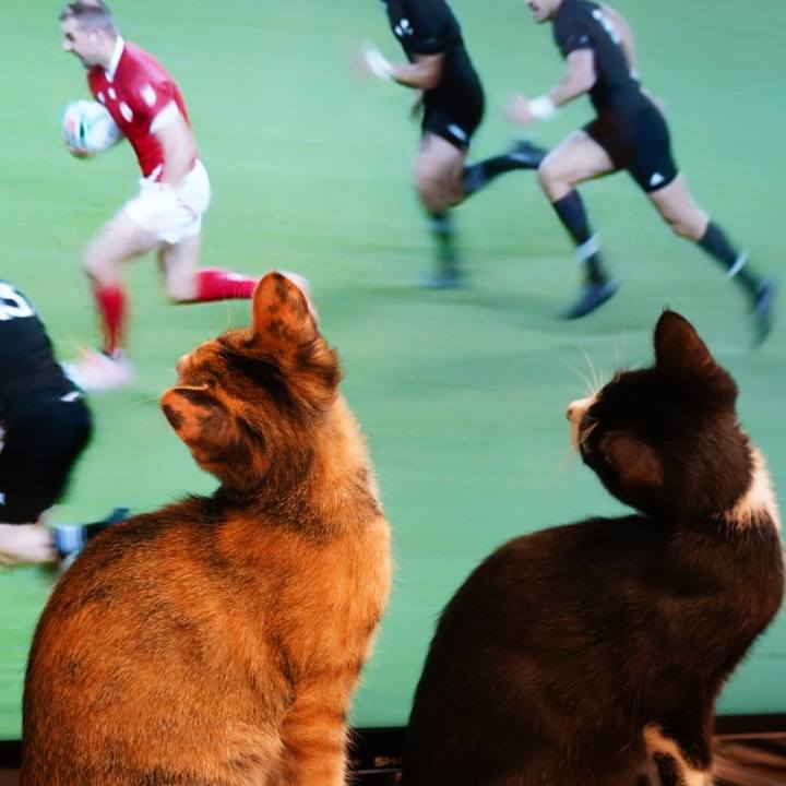 49f6b63c dc87 427e 8fb4 c5017b776050 1570060418510