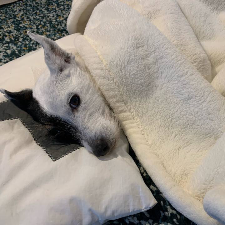 49f6fd25 4440 4f9c 95b2 36d427f53c5a 1708839196613