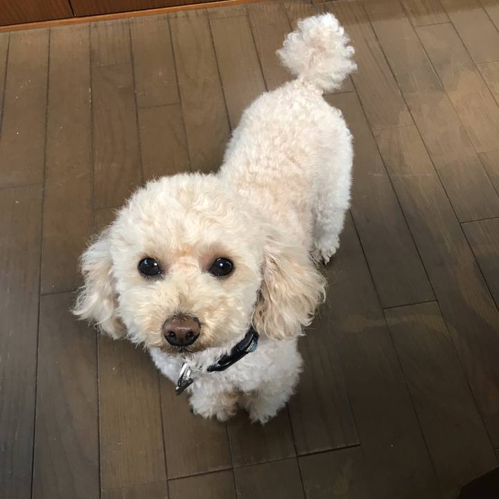 49f736ff d538 405c 904e 8aade8ac893c 1556585230538