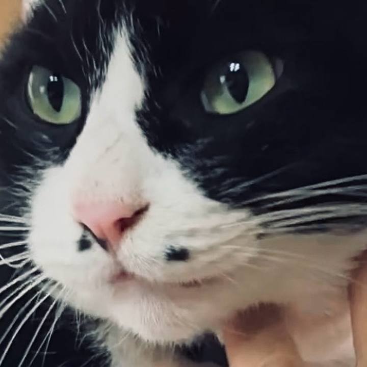 49f79ad9 c4e2 414e b56b 37a2384b0857 1736041807995