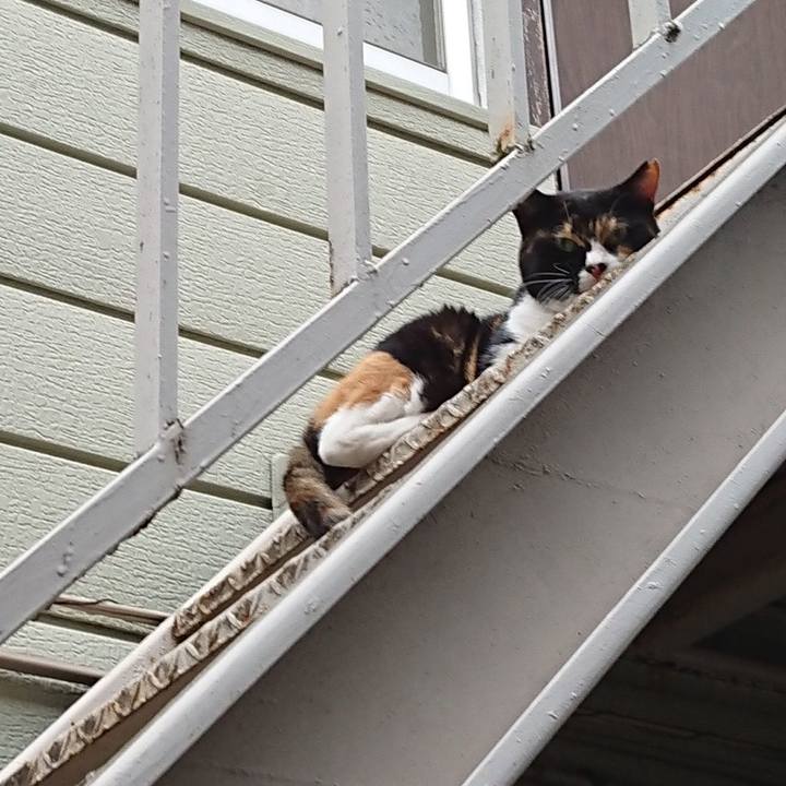 49f79fb0 9dde 4d65 8995 657d5655cf32 1662639697607