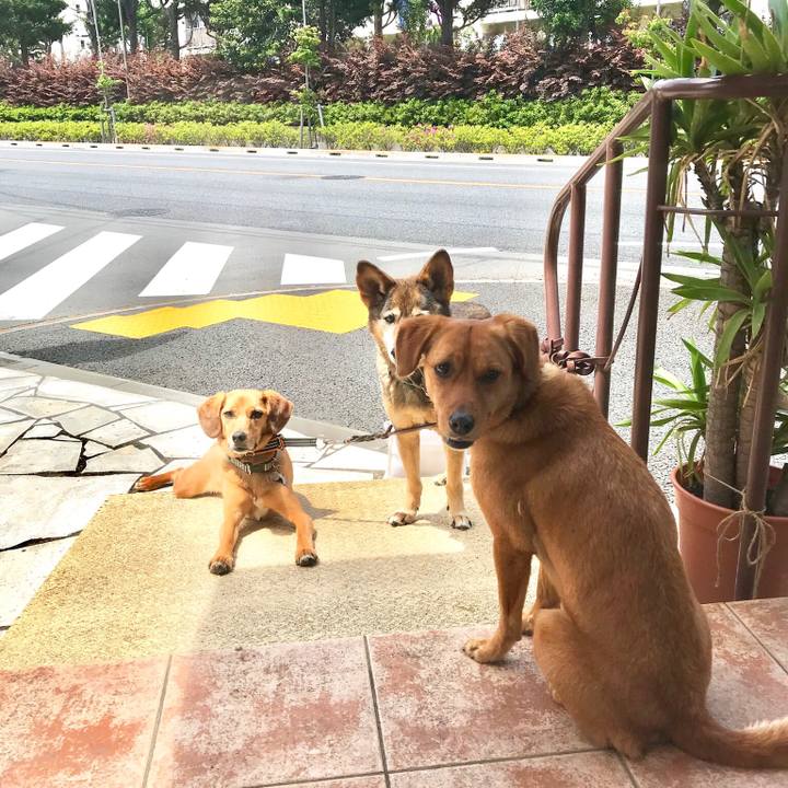 49f7eec1 a08d 40ee af5e 277581711b44 1526007950053