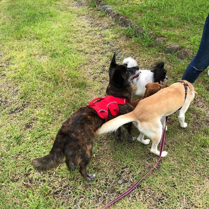 49f807ed 378b 4a91 b98c d7d9500cc2d9 1629285038044