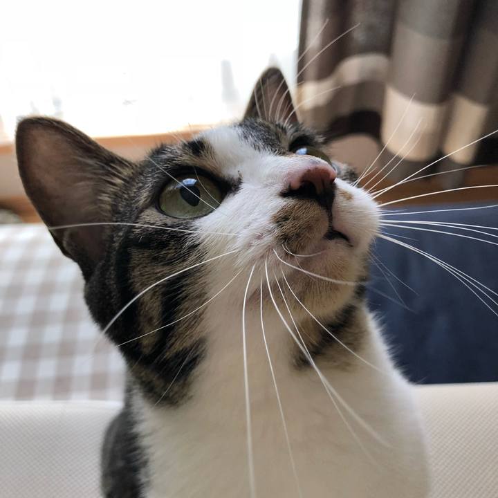 49f812fa bdaf 4a65 a626 51d11a2791ec 1530581488713