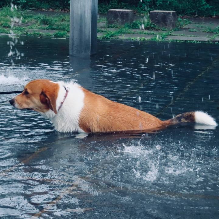 49f83e38 83ff 49a7 8e60 bf7c269d7bc4 1632104381208