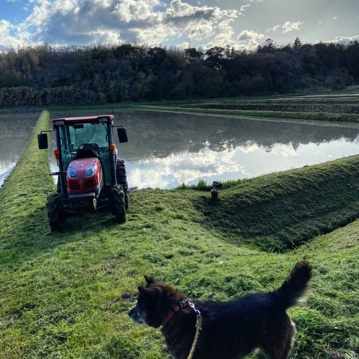 49f84a77 4680 4c7a b62b 7e3c2f487089 1619389557544